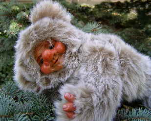 Albin32