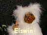 Eiswin06