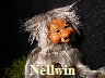 Nellwin40