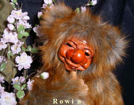 Rowin05